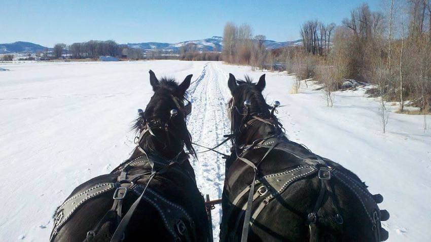 Things to Do in Steamboat Springs During the Winter | Sleigh Ride Dinner