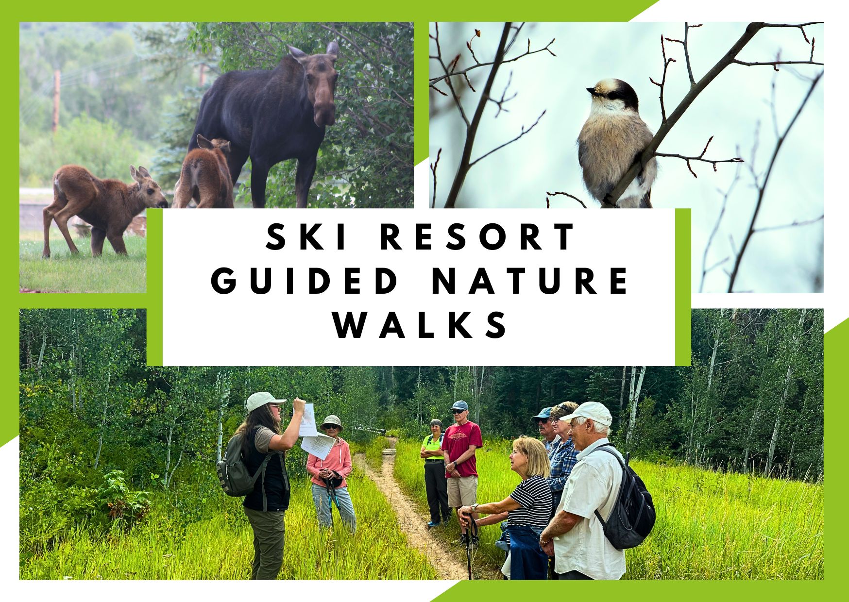 Ski Resort Guided Hike