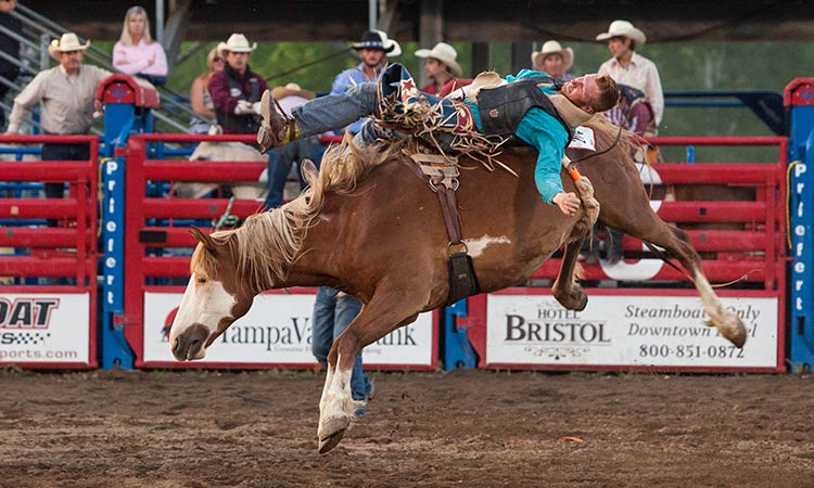 Steamboat Springs Pro Rodeo