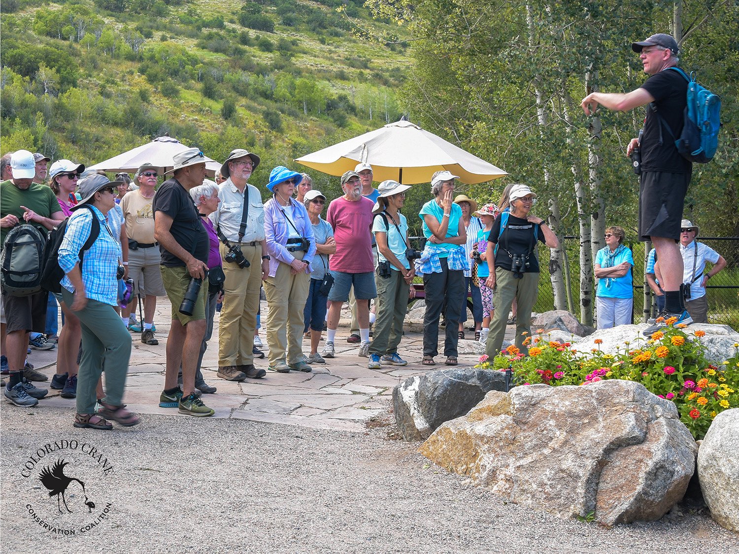 Yampa Valley Crane Festival