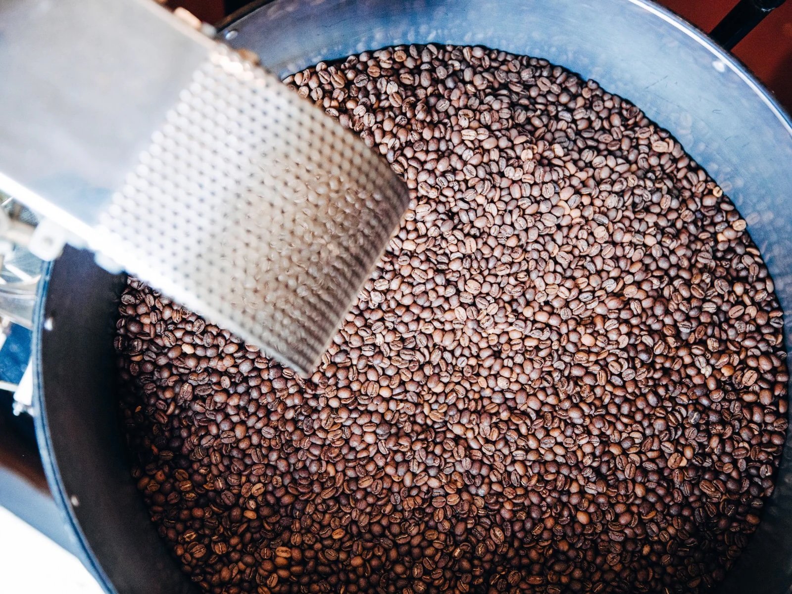 Seedhouse Coffee Roasters